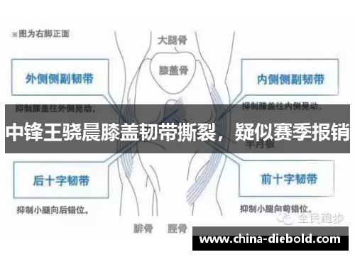 中锋王骁晨膝盖韧带撕裂，疑似赛季报销